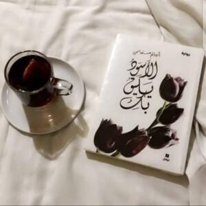 تحميل رواية الأسود يليق بك pdf 2